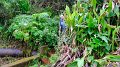 2023-03-05_100618_madeira-2023