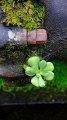 2023-03-05_102504_madeira-2023