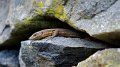 2023-03-05_132200_madeira-2023