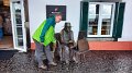 2023-03-06_110550_madeira-2023