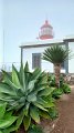 2023-03-06_134329_madeira-2023