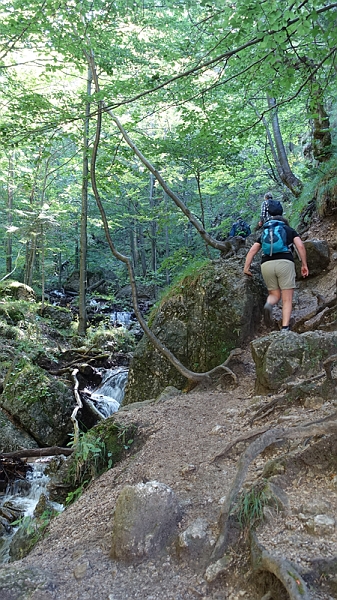 20200904_111652_malafatra_broumovsko_2020.jpg - In der Schlucht Nove Diery                               