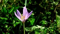 20200904_124540_malafatra_broumovsko_2020