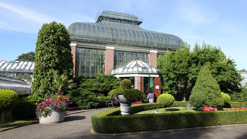 20200910_154904_malafatra_broumovsko_2020.jpg - Botanischer Garten von Walbrzych                               