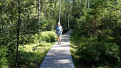 Holzstege im Sumpfgebiet des Skalny potok