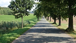 Allee im Braunauer Ländchen