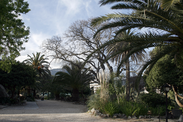 2011-03-22_10-06-46_mallorca_2011.jpg - Hotel Es Port - Gartenanlage