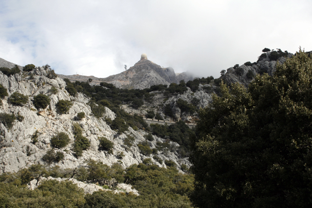 2011-03-20_10-54-08_mallorca_2011.jpg - Puig Major