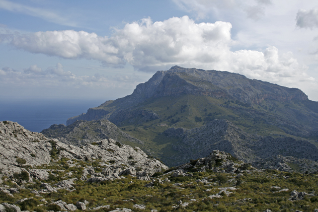 2011-03-22_11-01-05_mallorca_2011.jpg - Puig Roig