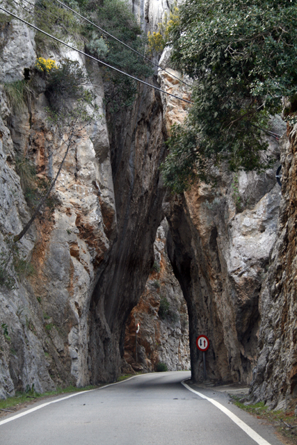 2011-03-22_11-18-06_mallorca_2011.jpg - Felsentunnel an der Strae nach Cala Tuent