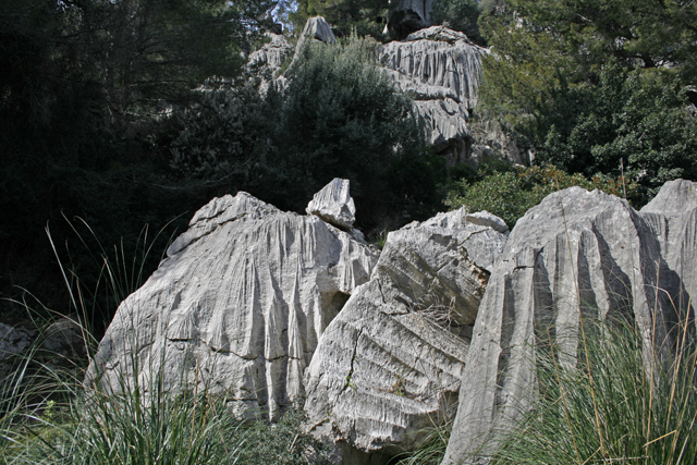 2011-03-22_12-45-27_mallorca_2011.jpg - Repla de Sa Neu