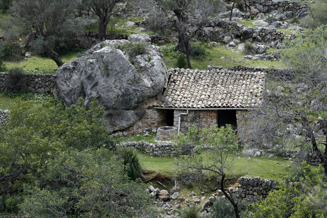2011-03-22_15-09-21_mallorca_2011.jpg - "Ferienhaus" im Olivenhain