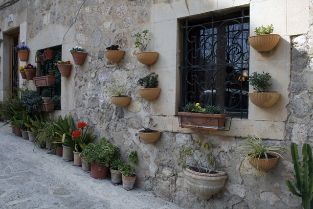 2011-03-22_16-18-35_mallorca_2011.jpg - Valldemossa