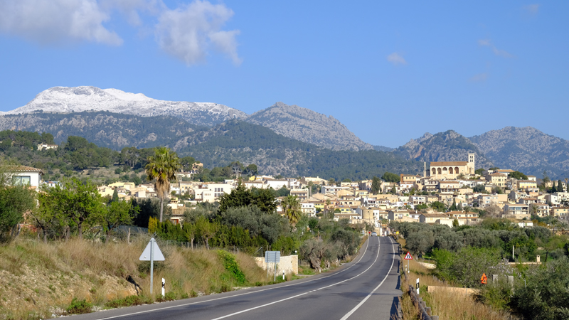 2018-02-24_11-05-56_mallorca-2018.jpg - Selva