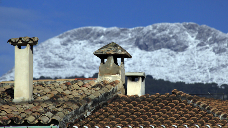 2018-02-24_11-28-06_mallorca-2018.jpg - Selva