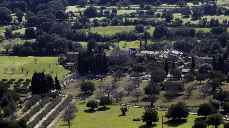 2018-02-24_12-40-06_mallorca-2018.jpg - Landschaft bei Pollenca