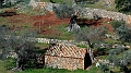 2018-02-24_11-52-00_mallorca-2018