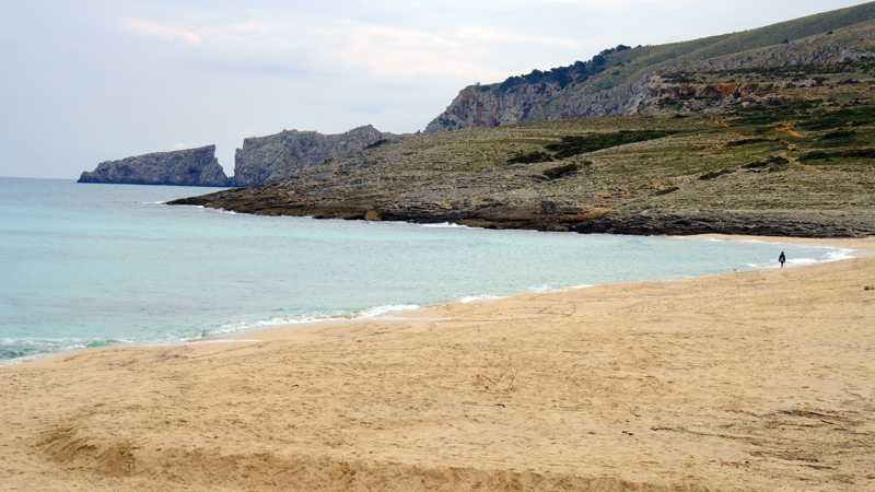 2018-02-25_11-49-36_mallorca-2018.jpg - Cala Mesquida