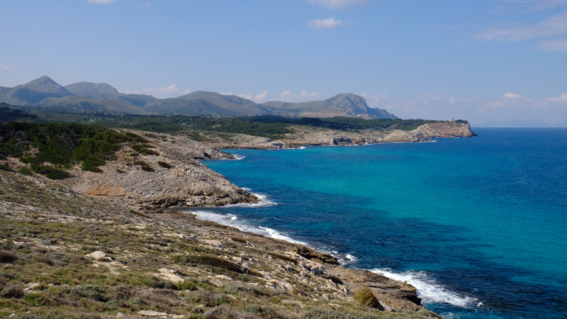 2018-02-25_14-40-44_mallorca-2018.jpg - Wanderung zur Cala Torta