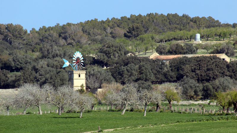 2018-02-26_12-40-33_mallorca-2018.jpg - Irgendwo bei Sant Joan