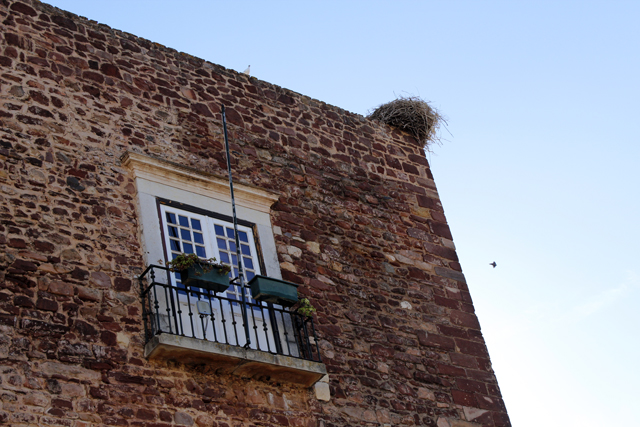 2012-10-11_11-00-44_portugal.jpg - Silves