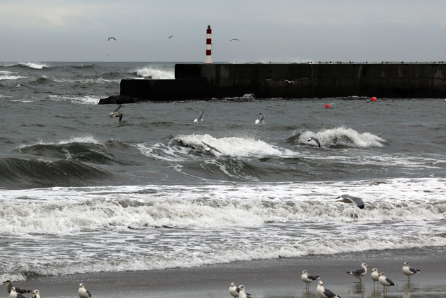 2012-10-21_12-14-29_portugal2012.jpg - Strmischer Atlantik bei Esposende
