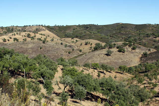 2012-10-12_15-58-50_portugal.jpg - Im hgeligen Hinterland der Algarve