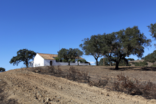 2012-10-12_16-20-48_portugal.jpg - Im Alentejo