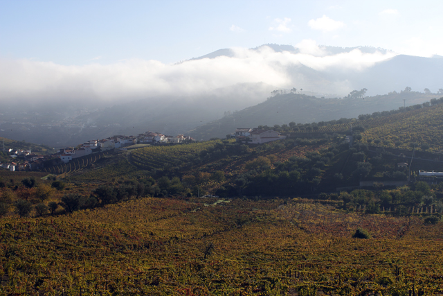 2012-10-20_10-47-09_portugal2012.jpg - Morgennebel ber dem Douro