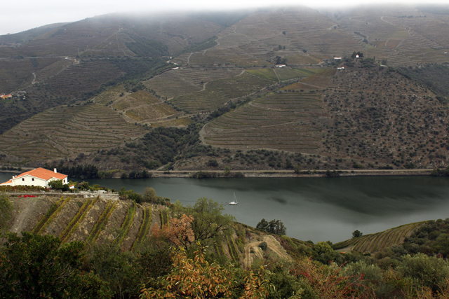 2012-10-20_11-33-11_portugal2012.jpg - Weinhnge am Douro