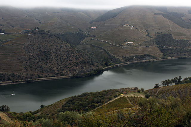 2012-10-20_11-33-37_portugal2012.jpg - Douro