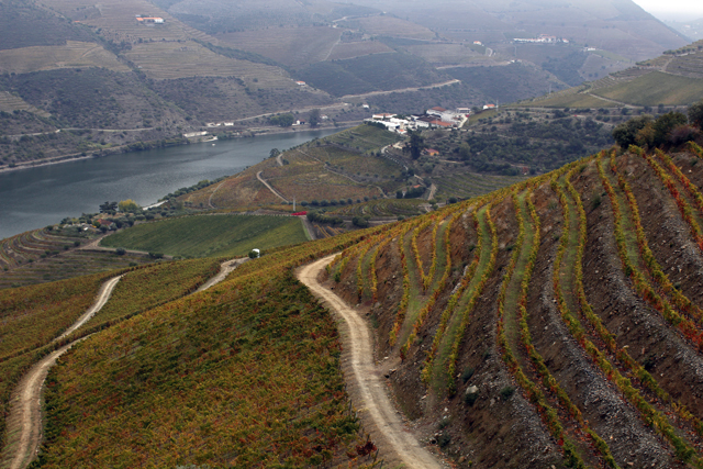 2012-10-20_11-36-22_portugal2012.jpg - Weinhnge am Douro