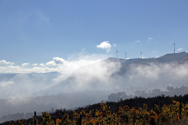 2012-10-20_12-06-42_portugal2012.jpg - Morgennebel ber dem Douro