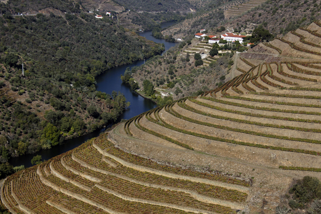 2012-10-20_12-33-24_portugal2012.jpg - Weinhnge am Douro