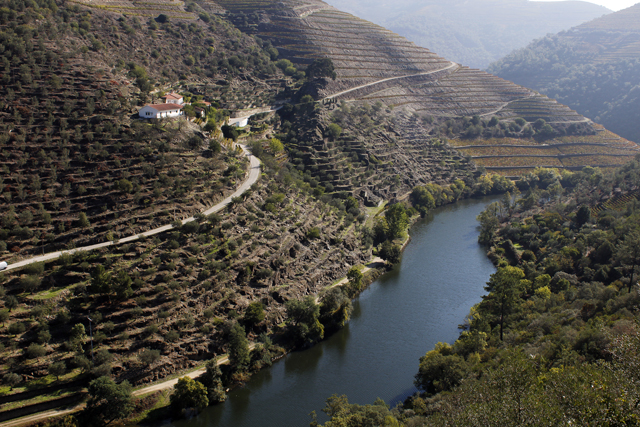 2012-10-20_12-38-12_portugal2012.jpg - Weinhnge am Douro