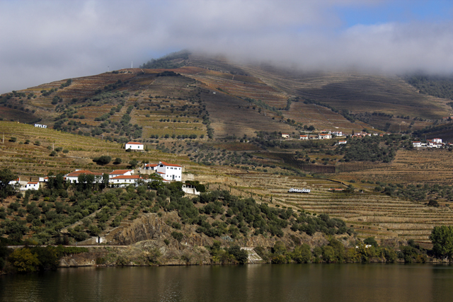 2012-10-20_12-48-20_portugal2012.jpg - Weinhnge am Douro