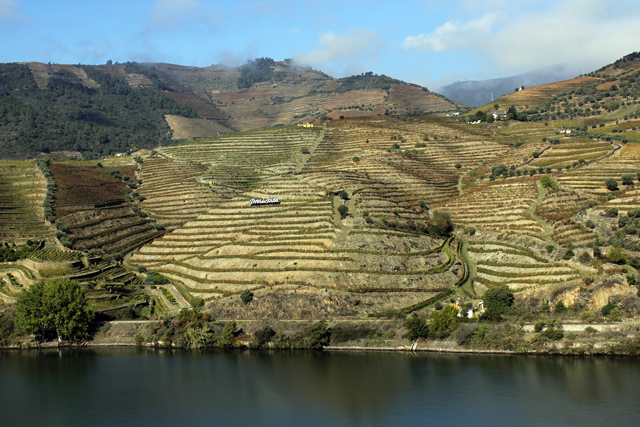 2012-10-20_12-52-18_portugal2012.jpg - Weinhnge am Douro