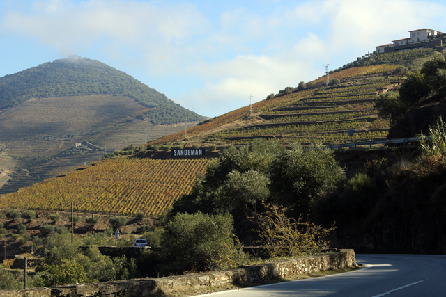 2012-10-20_12-53-32_portugal2012.jpg - Weinhnge am Douro