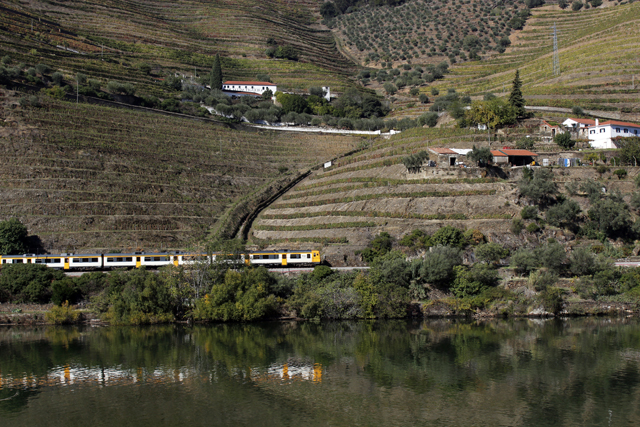 2012-10-20_13-02-55_portugal2012.jpg - Douro 