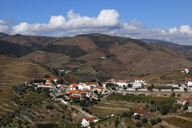 2012-10-20_13-19-01_portugal2012.jpg - Alijo nordlich des Douro