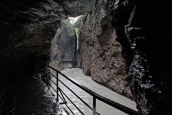 Aareschlucht