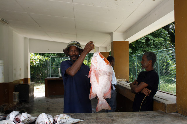 2008-10-01_11-34-02.jpg - Red Snapper