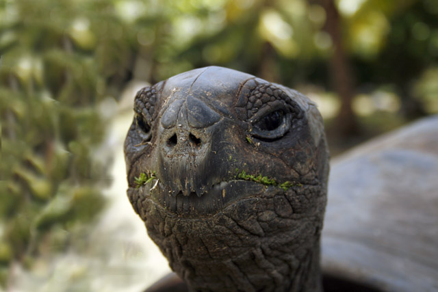 2008-10-09_08-18-48.jpg - Ich bin Vegetarier