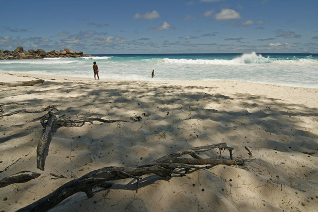 2008-10-10_11-11-02.jpg - La Digue - Grand Anse
