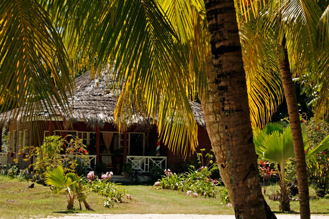 2008-10-12_08-18-34.jpg - ehemalige Kokosnufarm L'Union Estate