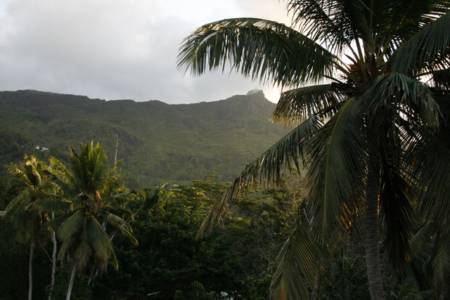 2008-10-15_15-54-37.jpg - Blick zum hchsten Gipfel der Seychellen - Morne Seychellois - 905 m