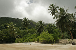 Anse Major auf Mahe