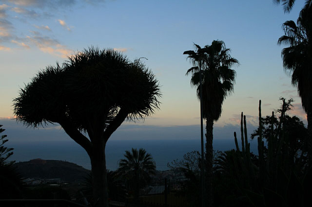 2007-12-28_19-54-05_teneriffa2.jpg - Abends in La Orotava