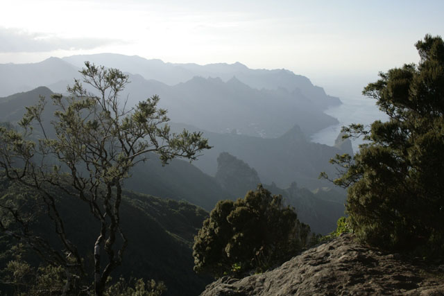 2008-01-01_19-00-13_teneriffa6.jpg - Angaga-Panorama - Blick vom Chinobre (910 m)