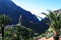 2008-01-02_12-31-53_teneriffa6